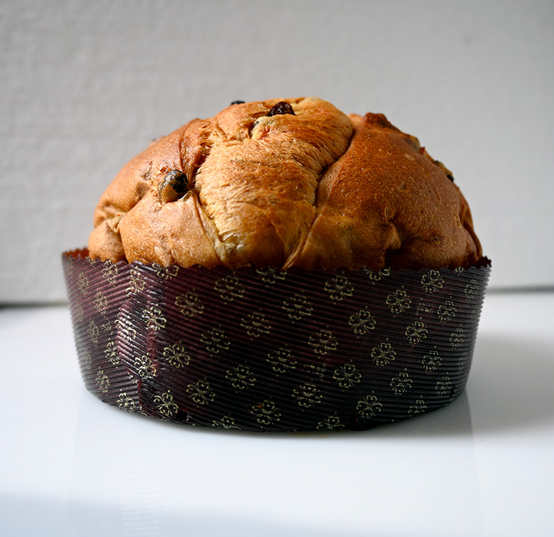 Panettone